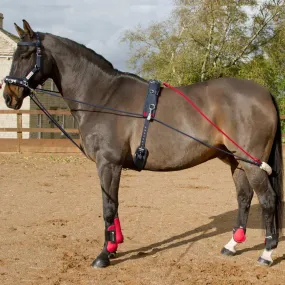 John Whitaker Training System