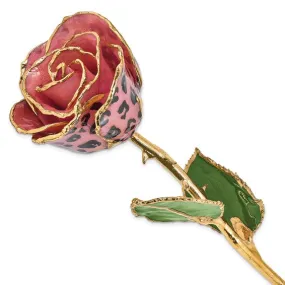 Leopard Rose with Gold Trim