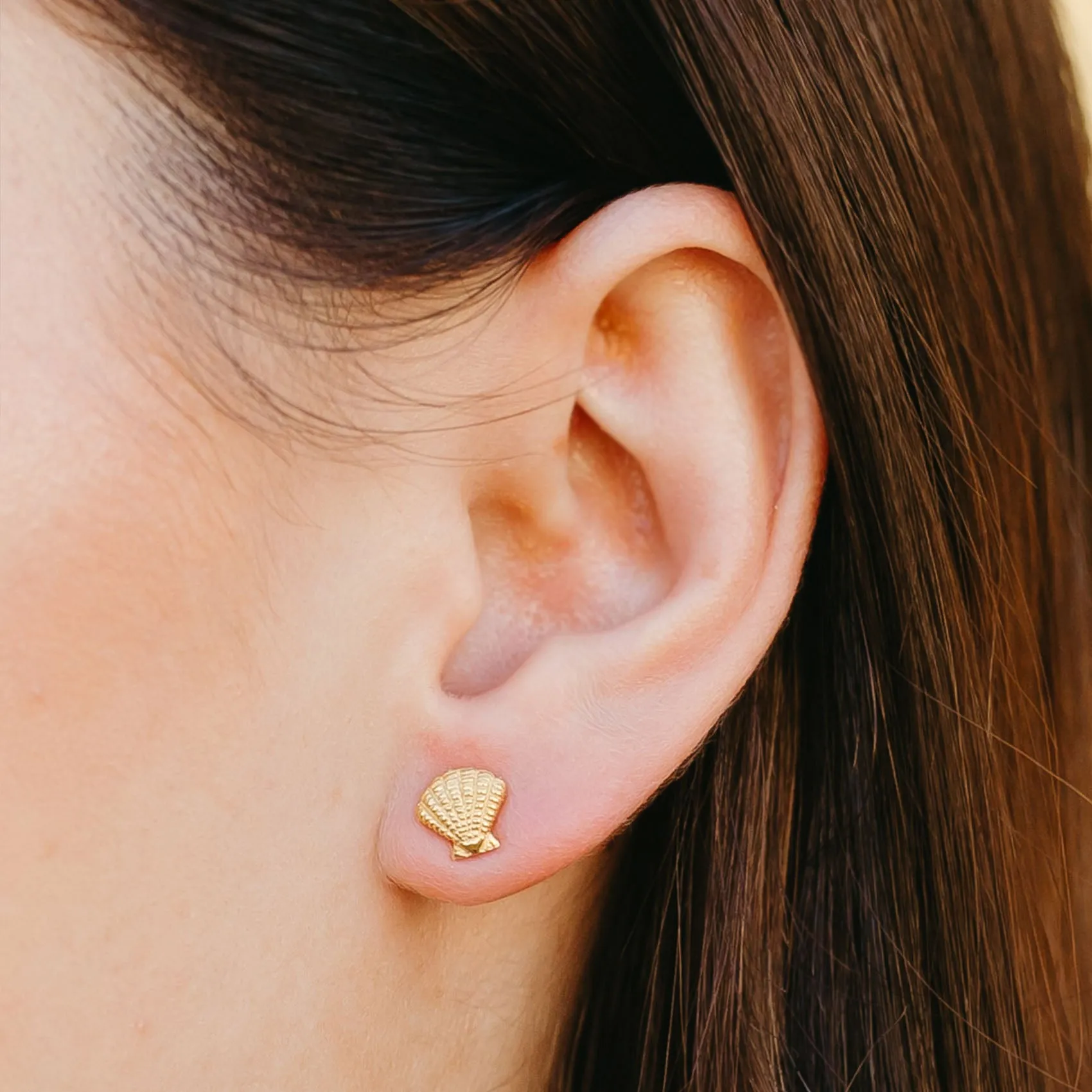 Seashell Stud Earrings